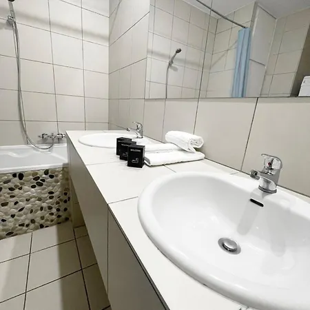 Magnifique Grand Near Basel Parking Privee