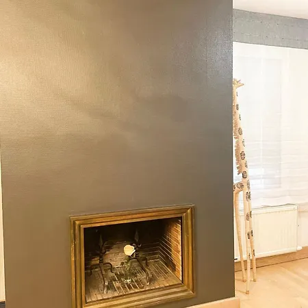 Magnifique Grand Near Basel Parking Privee Saint-Louis (Haut-Rhin)