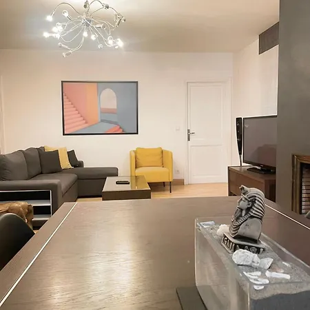 Apartment Magnifique Grand Near Basel Parking Privee *
