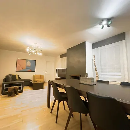 Magnifique Grand Near Basel Parking Privee *