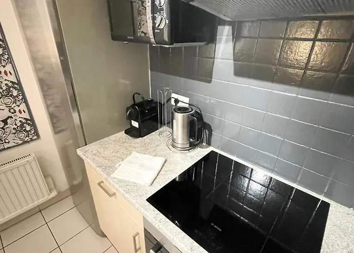 Bale 23 Magnifique 6 Pers Parking Prive Apartamento *